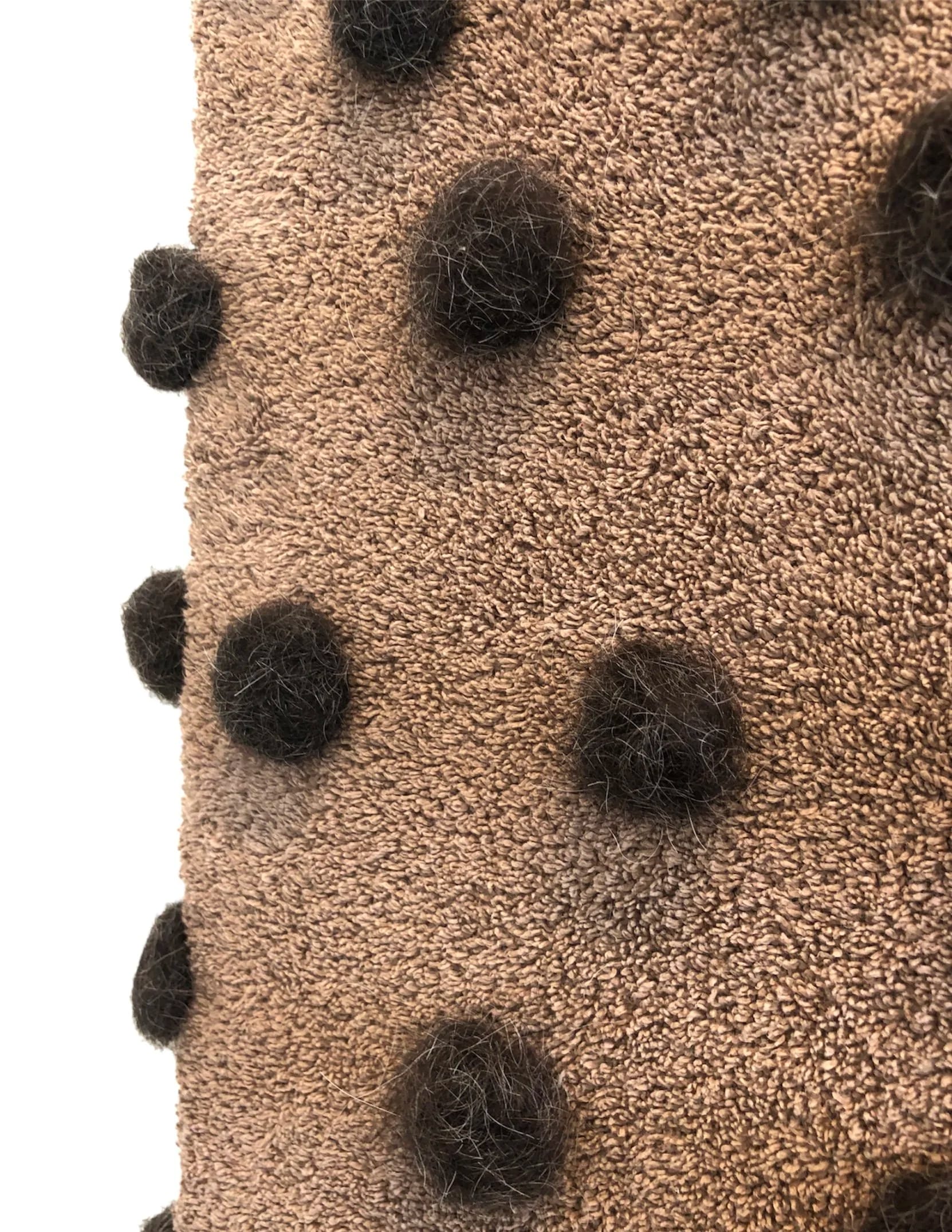 Lee Davignon, detail