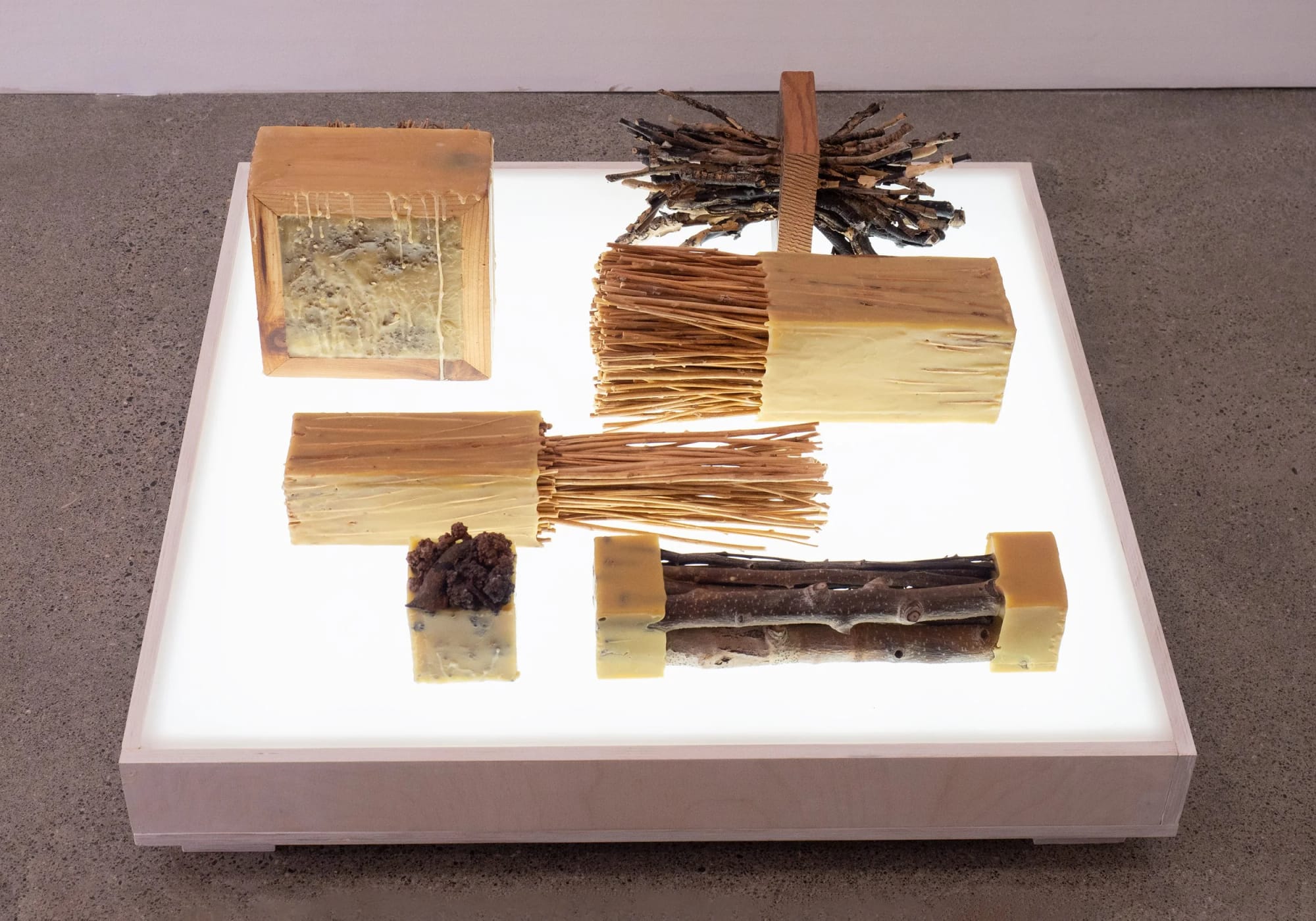 Ruth Marie Tomlinson.  Preserves - series.