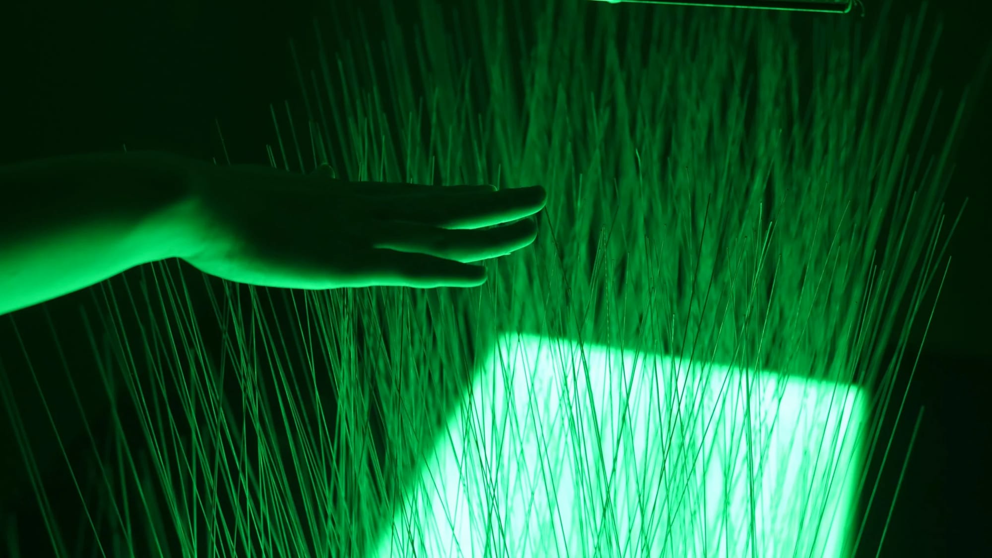 Touch Grass: Eunsun Choi, The Vestibule