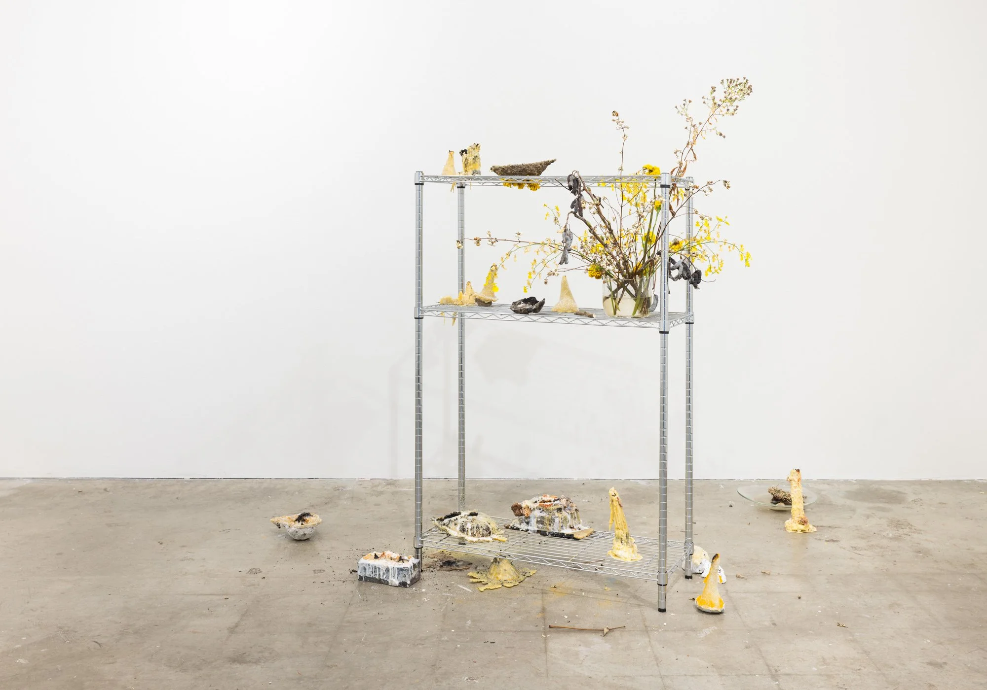 Seeding: An Exchange, The Vestibule