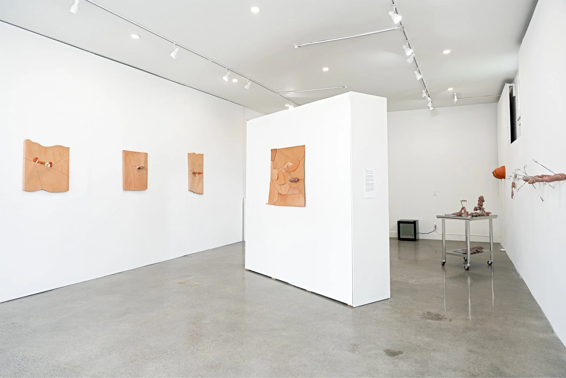 Jia Jia: The Skin as One Example, The Vestibule