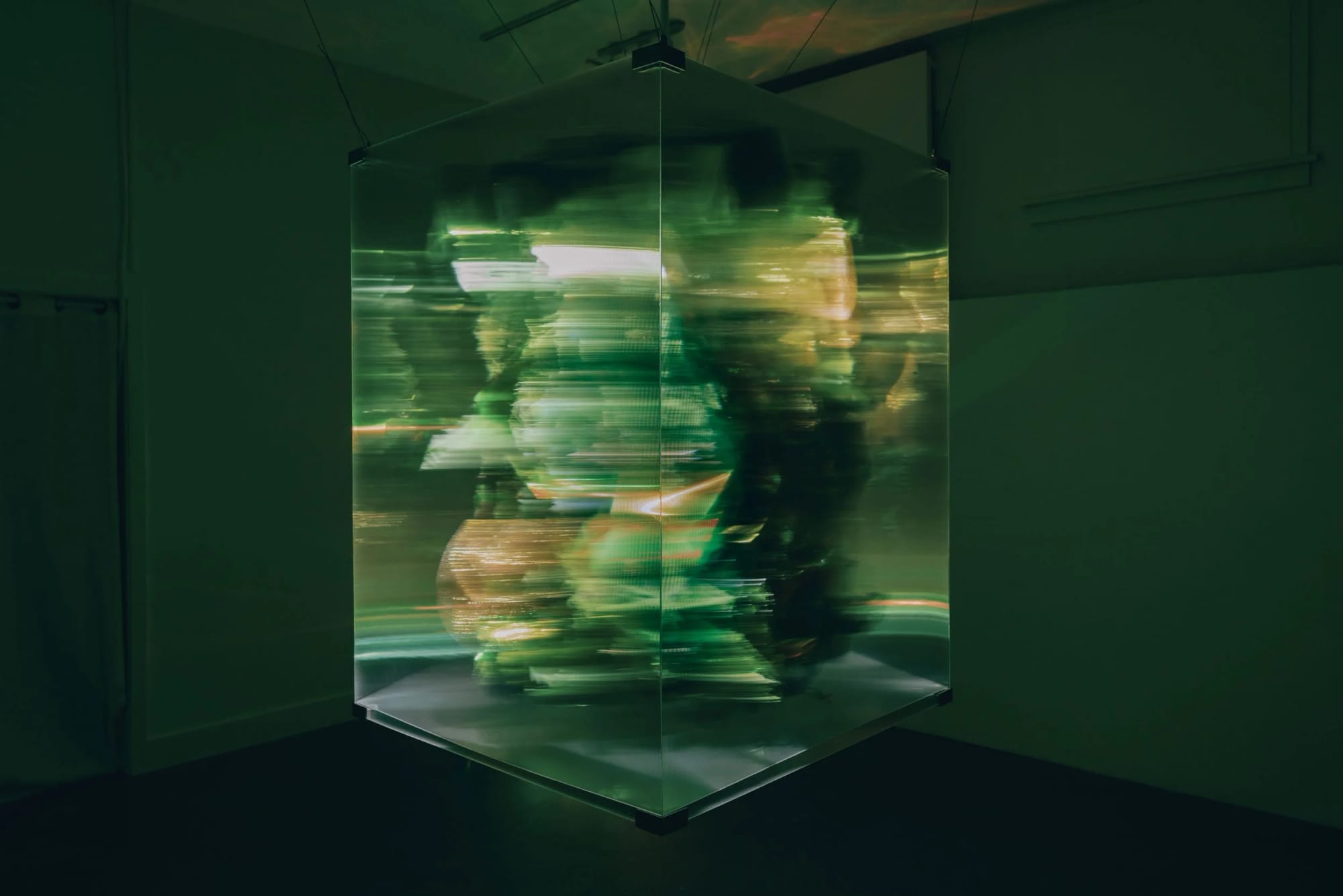 Maja Petric: Specimens of Time, The Vestibule