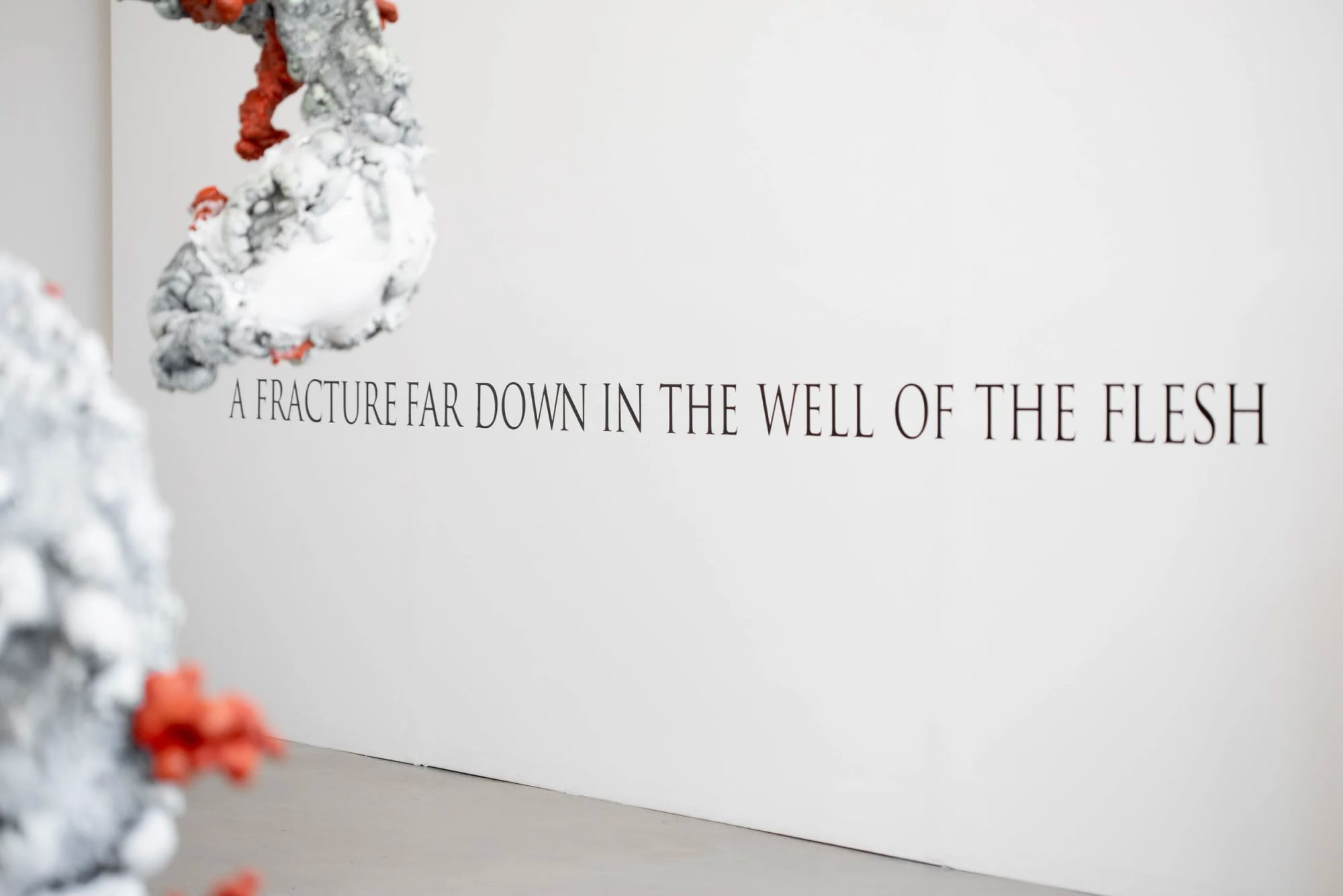 ( ((elapse)) ) Lauren Ruiz & Ocean, The Vestibule