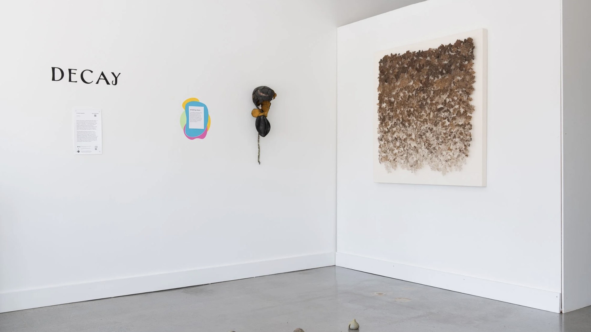 Decay, installation view at The Vestibule